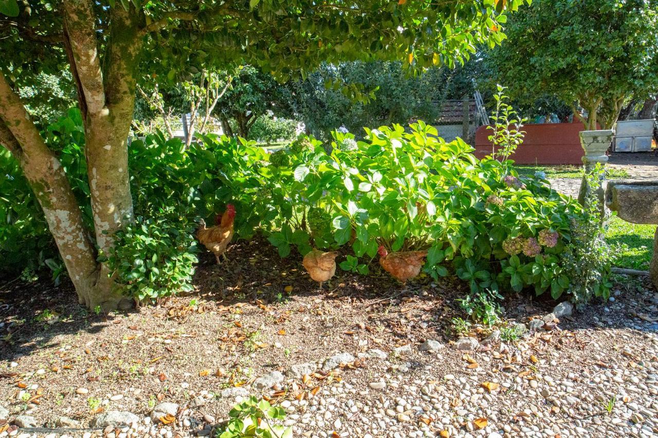 Quinta De Vila Nova - Agroturismo Monção Εξωτερικό φωτογραφία