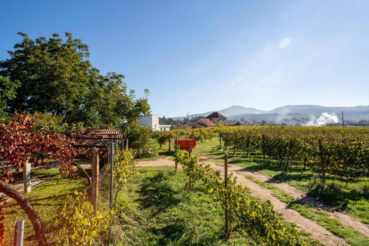 Quinta De Vila Nova - Agroturismo Monção Εξωτερικό φωτογραφία