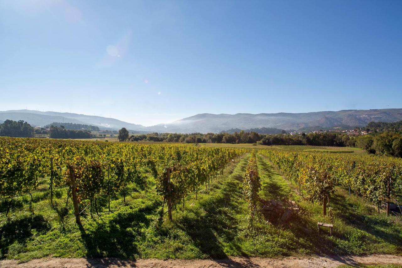 Quinta De Vila Nova - Agroturismo Monção Εξωτερικό φωτογραφία